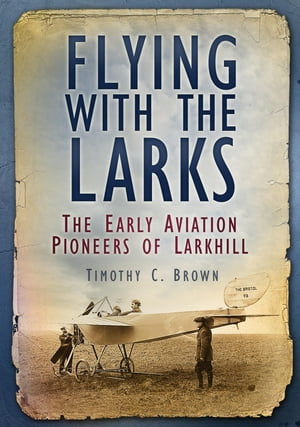 Flying With the Larks