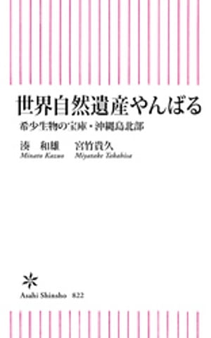 湊和雄