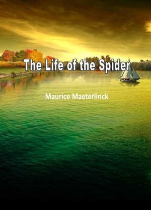 The Life Of The Spider