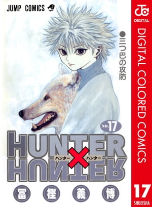 HUNTER×HUNTER カラー版 17