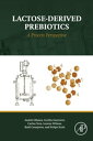 Lactose-Derived Prebiotics A Process Perspective