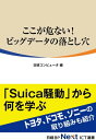 ここが危ない！　ビッグデータの落とし穴（日経BP Next ICT選書）【電子書籍】[ 日経コンピュータ（浅川 直輝） ]