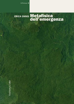 Metafisica dell’emergenza