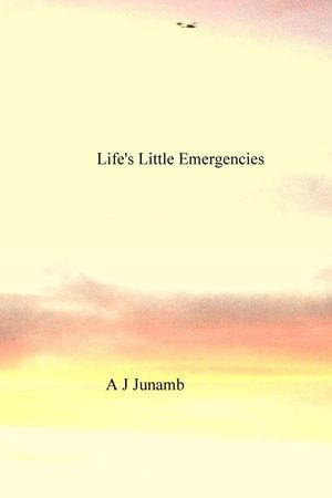 ŷKoboŻҽҥȥ㤨Life's Little EmergenciesŻҽҡ[ A. J. Junamb ]פβǤʤ119ߤˤʤޤ
