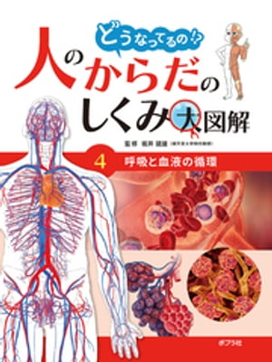 どうなってるの！？　人のからだのしくみ大図解　呼吸と血液の循環