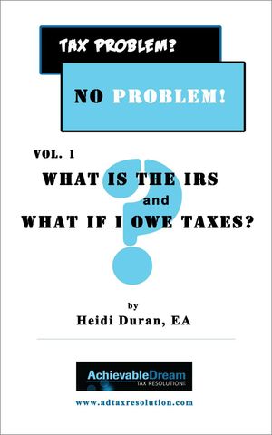 What Is the IRS and What If I Owe Taxes?