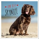 Love is a Spaniel A Dog-Tastic Celebration of the World’s Most Lovable Breed【電子書...