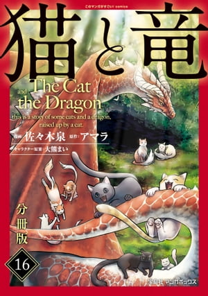 猫と竜【分冊版】16