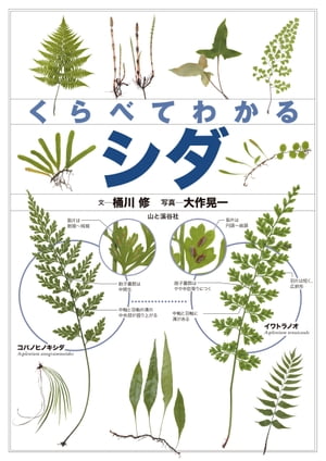 くらべてわかる シダ【電子書籍】[ 桶川 修 ]