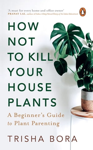 How Not To Kill Your Houseplants