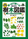 増補改訂版 葉っぱで調べる身近な樹木図鑑【電子書籍】 林 将之