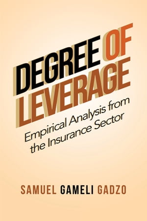 Degree of Leverage Empirical Analysis from the I