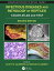 Infectious Diseases and Pathology of Reptiles