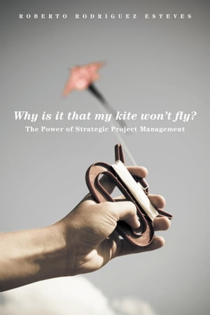 Why is it that my kite won’t fly?