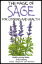 The Magic of Sage For Cooking and Health