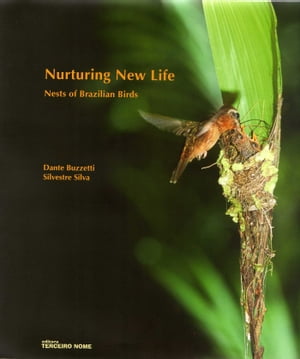 Nurturing new life