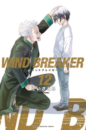 WIND BREAKER（12）【電子書籍】 にいさとる