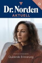 Qu lende Erinnerung Dr. Norden Aktuell 12 Arztroman【電子書籍】 Patricia Vandenberg