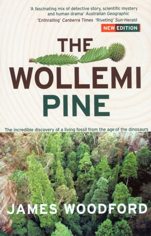 The Wollemi Pine