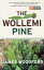 The Wollemi Pine