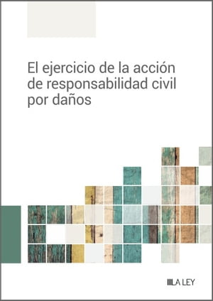 El ejercicio de la acción de responsabilidad civil por daños