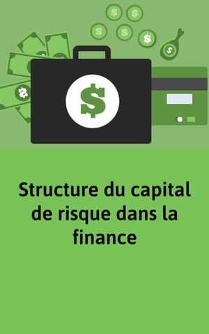 Structure du capital de risque dans la financeŻҽҡ[ Marie Berrier ]