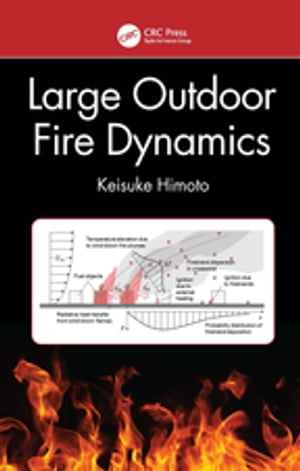 Large Outdoor Fire Dynamics