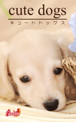 cute dogs27 ダックスフンド【電子書籍