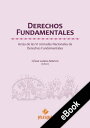 Derechos Fundamentales Actas de las VI Jornadas Nacionales de Derechos Fundamentales【電子書籍】 C sar Landa