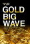 Gold BIG Wave ver2Ū󥸤GOLDŪ徺븷5Żҽҡ[ Weiss Ratings Japan ]