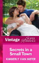 Secrets in a Small Town (Mills & Boon Vintage Su