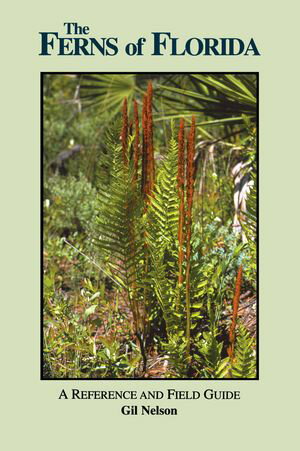 The Ferns of Florida