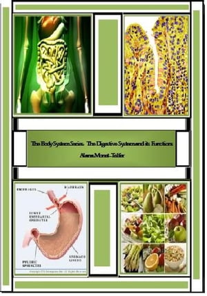 The Body System Series: The Digestive System and its Functions