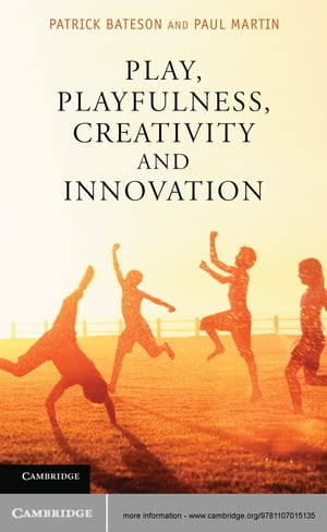 Play, Playfulness, Creativity and Innovation【