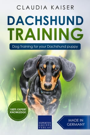 Dachshund Training: Dog Training for Your Dachsh