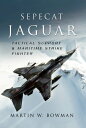 Sepecat Jaguar Tactical Support & Maritime Strike Fighter