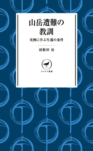 ヤマケイ新書 山岳遭難の教訓 --実例に学ぶ生還の条件--