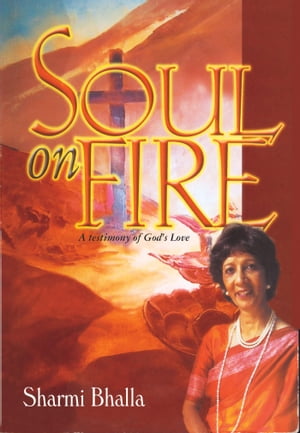 Soul On Fire