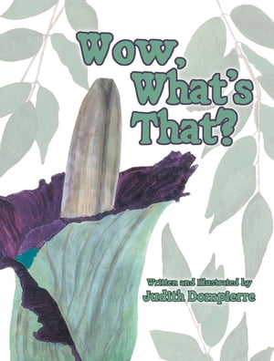 Wow, What's That?【電子書籍】[ Judith Domp