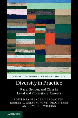 Diversity in Practice Race, Gender, and Class in Legal and Professional Careers【電子書籍】
