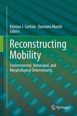 Reconstructing Mobility Environmental, Behavioral, and Morphological Determinants