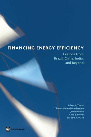 Financing Energy Efficiency: Lessons From Brazil, China, India, And Beyond