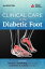 Clinical Care of the Diabetic Foot