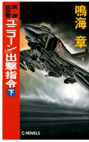 国連航空軍　「ユニコーン」出撃指令　下