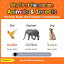 My First Hungarian Animals & Insects Picture Book with English Translations