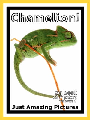 Just Chamelion Lizard Photos! Big Book of Photographs & Pictures of Chamelions Lizards, Vol. 1