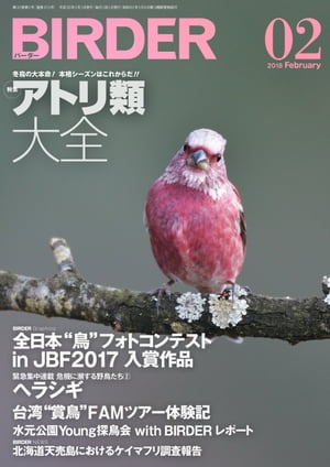 BIRDER2018年2月号