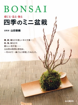 BONSAI　感じる・造る・飾る　四季のミニ盆栽