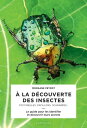 A la d?couverte des insectes