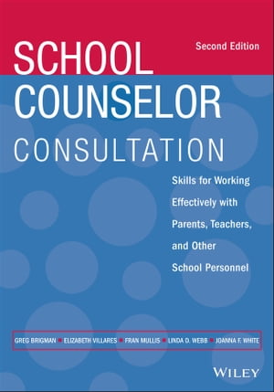 School Counselor Consultation